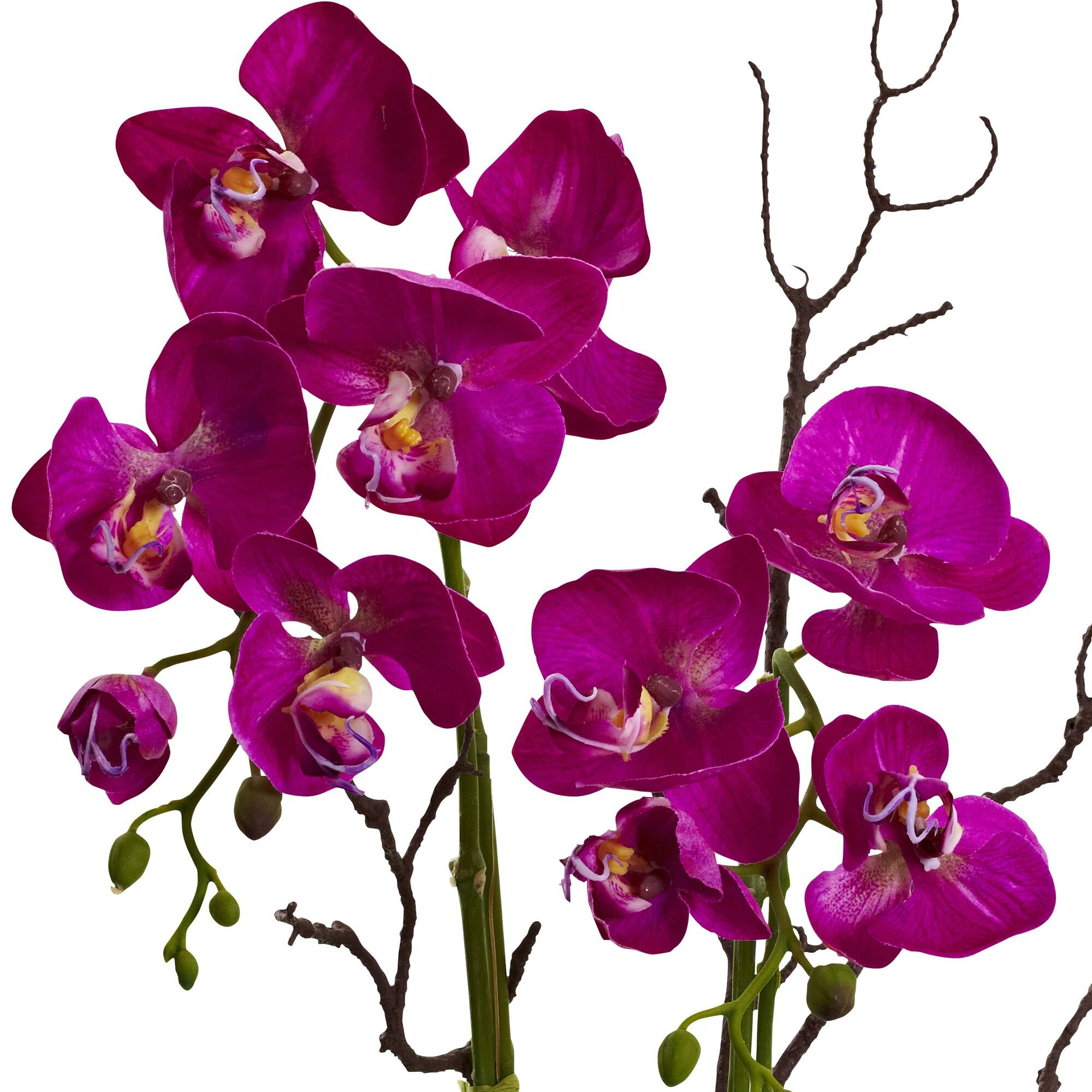 21" Orchid & Succulent Floral Arrangement in Ceramic Pot